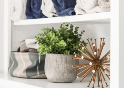 Shelves
