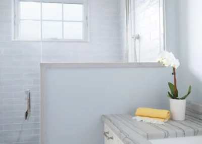 Bathroom remodel